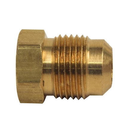 Thrifco Plumbing 39-F 1/2 Inch Brass Flare Plug 2/Pack 4401223